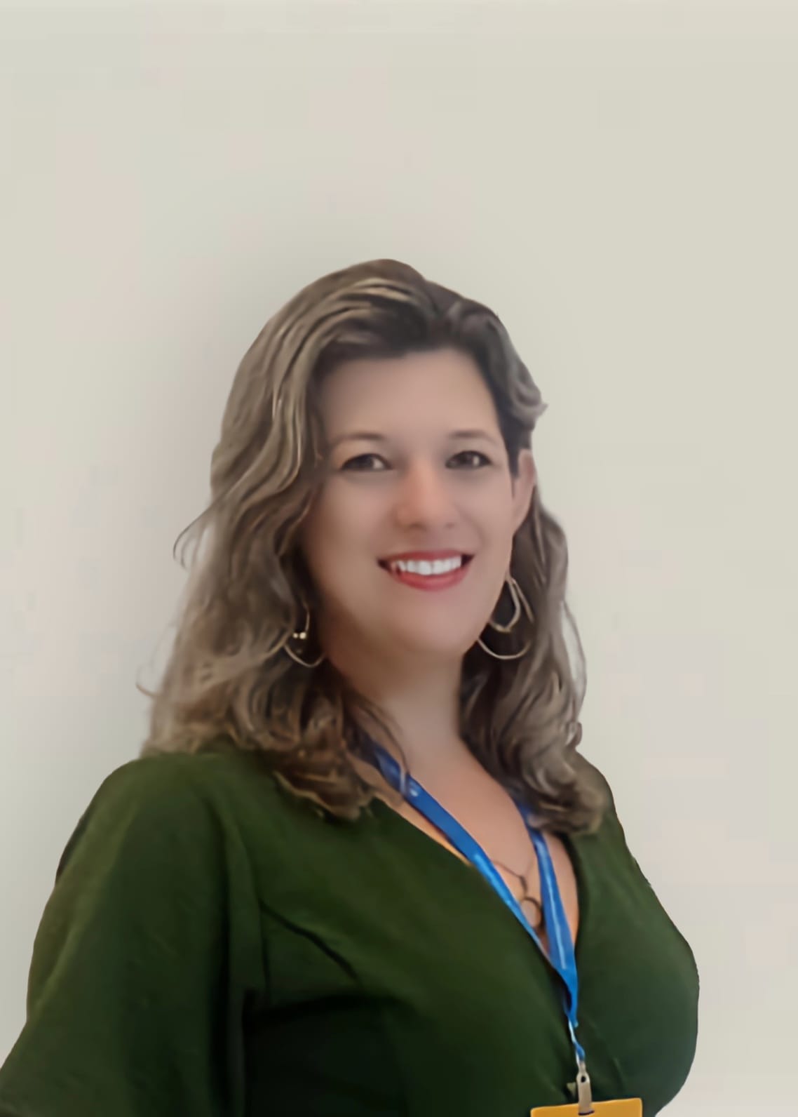 Descrição da Imagem